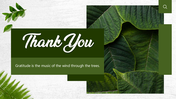 501909-leafy-green-thank-you-02