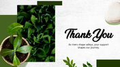 501909-leafy-green-thank-you-04