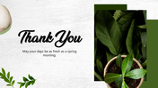 501909-leafy-green-thank-you-05