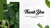 501909-leafy-green-thank-you-08