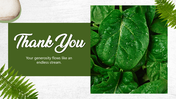 501909-leafy-green-thank-you-09