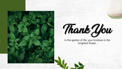 501909-leafy-green-thank-you-10