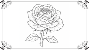 501991-botanical-coloring-book-02