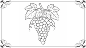 501991-botanical-coloring-book-04
