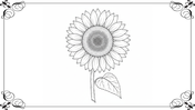501991-botanical-coloring-book-05