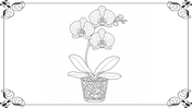 501991-botanical-coloring-book-06