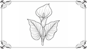 501991-botanical-coloring-book-08