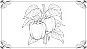 501991-botanical-coloring-book-10