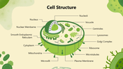 502001-biology-subject-for-middle-school-eukaryotic-cell-03