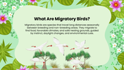 502007-biology-subject-for-high-school-world-migratory-bird-day-03