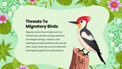 502007-biology-subject-for-high-school-world-migratory-bird-day-06