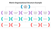 502016-matrix-organizational-structure-example-02