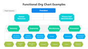 502024-functional-structure-organizational-chart-04