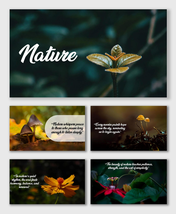 Natural Background with leaves, sprouts, flowers, mushrooms, and soft earthy tones creating calm natural visuals.