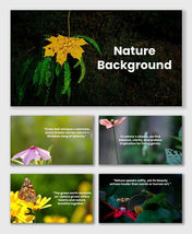 Background Wallpapers Nature with flowers, leaves, butterflies, greenery, and sunlight creating a calm scenic harmony.