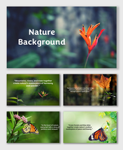 Beautiful Background Nature with flowers, leaves, butterflies, sunlight, and greenery creating calm scenic beauty.