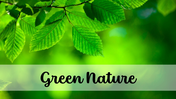 502051-green-background-nature-01