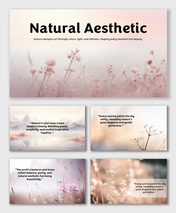 Natural Aesthetic Background with pastel hues, soft light, dry flowers, warm tones, and serene natural harmony.