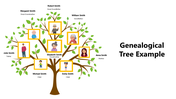 502248-genealogical-tree-example-02