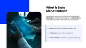 502380-data-monetization-02