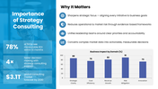 502433-business-consulting-services-03