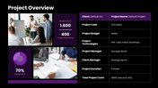 502449-project-status-reporting-template-02