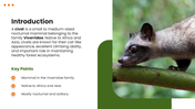 Civet wildlife template with green theme, circular photo, floral accents, text holders, and nature layout. - slide 2