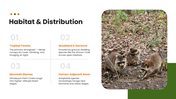 Civet wildlife template with green theme, circular photo, floral accents, text holders, and nature layout. - slide 4
