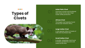 Civet wildlife template with green theme, circular photo, floral accents, text holders, and nature layout. - slide 6