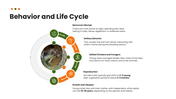 Civet wildlife template with green theme, circular photo, floral accents, text holders, and nature layout. - slide 7