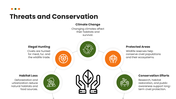 Civet wildlife template with green theme, circular photo, floral accents, text holders, and nature layout. - slide 9