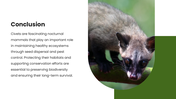Civet wildlife template with green theme, circular photo, floral accents, text holders, and nature layout. - slide 10