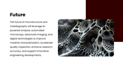 502521-microstructure-and-metallography-09