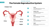 502526-gynecology-04