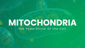 Mitochondria with green themes, cell diagrams, ATP processes, charts, icons, shapes, and text holders. - slide 1