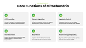 Mitochondria with green themes, cell diagrams, ATP processes, charts, icons, shapes, and text holders. - slide 4