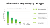 Mitochondria with green themes, cell diagrams, ATP processes, charts, icons, shapes, and text holders. - slide 5