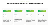 Mitochondria with green themes, cell diagrams, ATP processes, charts, icons, shapes, and text holders. - slide 8