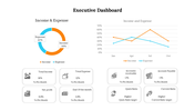 An executive dashboard showing income and expense distribution, with key financial metrics and a line graph.