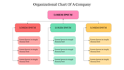 Colorful organizational chart showing a company structure with roles and descriptions for each department.