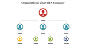 Hierarchical organizational chart with colorful circular icons representing roles and connected by lines.