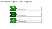 Green agenda slide with three sequential steps, each featuring a white icon and descriptive text.