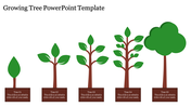 Five trees in various growth stages from sapling to full tree, depicted with brown labels beneath.