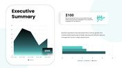 63259-executive-summary-template-ppt-03