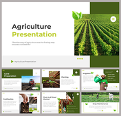 Agriculture slides featuring sections on land preparation, planting, irrigation, and crop maintenance with text descriptions.