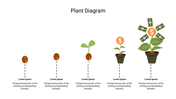 A diagram showing the growth stages of a plant, from a seed to a fully grown plant producing money, with text placeholders.
