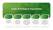 64398-ecological-powerpoint-presentation-template-03
