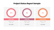 64465-project-status-report-sample-02