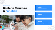 64516-biology-presentation-template-06