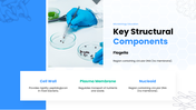 64516-biology-presentation-template-07